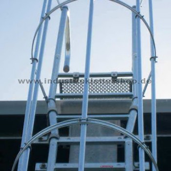 Ortsfeste Leitern incl. Steigschutz - Sachkunde - Montage & Prüfung 